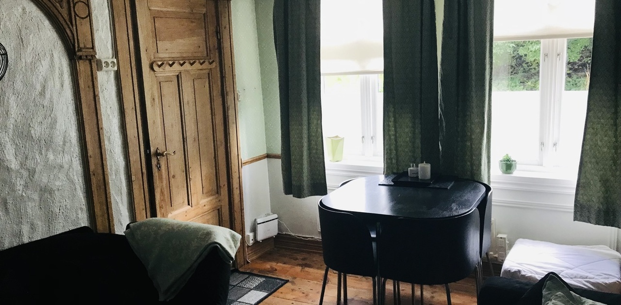 Stuen. Utsikt parken.