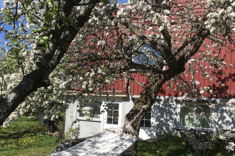 Rom i bofellesskap