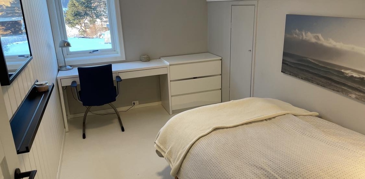 Sov 1 loft 9,5 kvm + kott - LEDIG