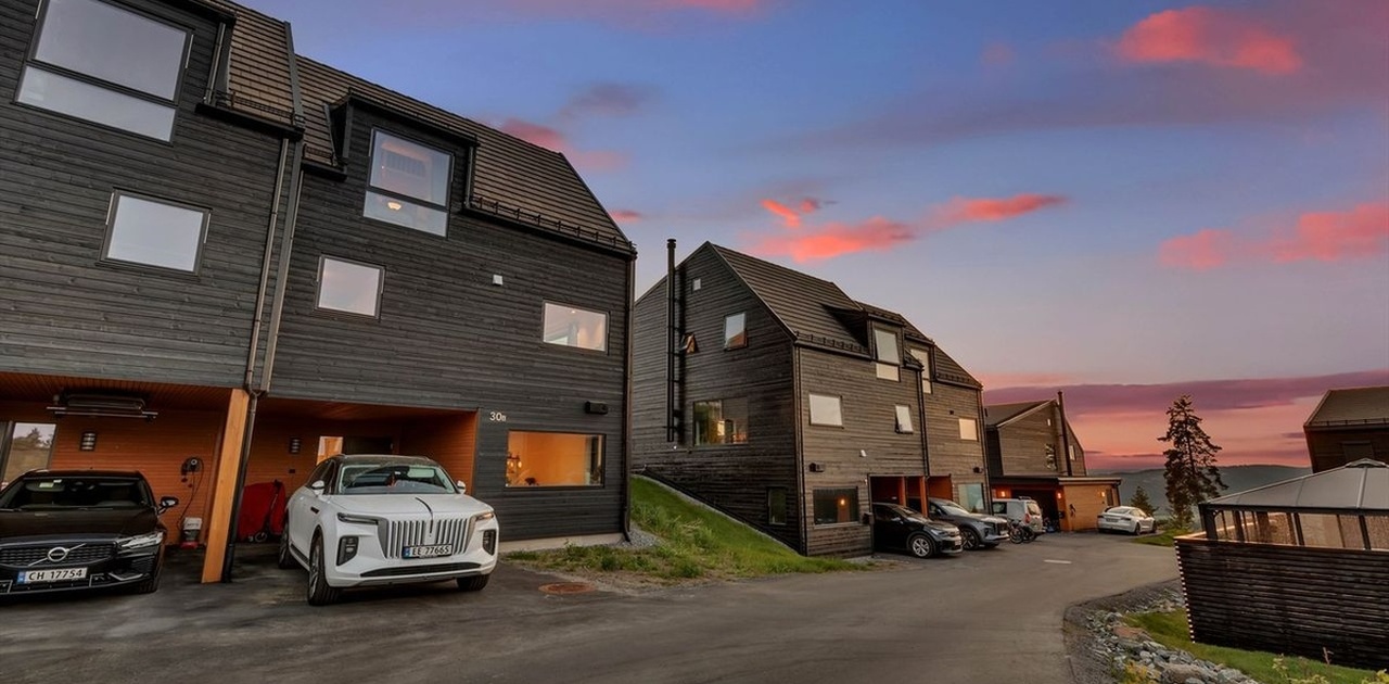 Carport 3 biler mulig