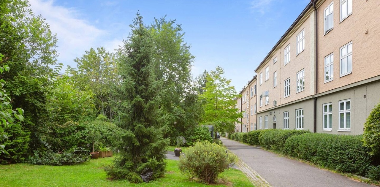 Bakgård