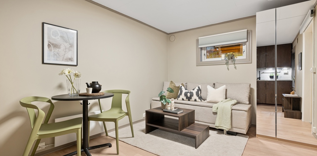 Studioleilighet på 15 kvm med sofaseng