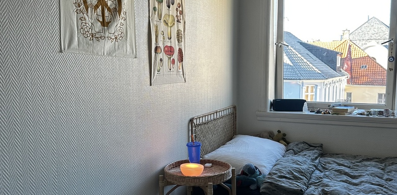 Rommet som leies ut med møbler
