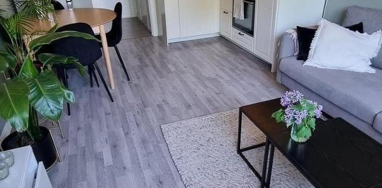Stue/kjøkken