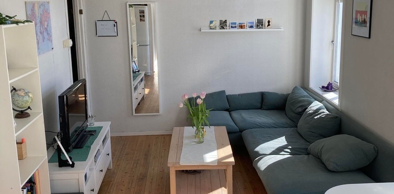 Big living room with lots of sun