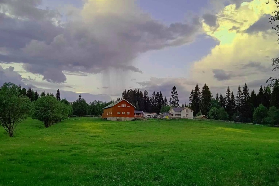 Rom i bofellesskap