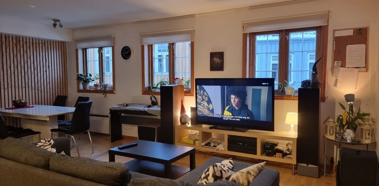 TV og sofa i stue
