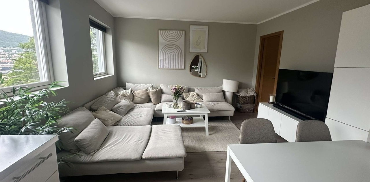 Stor sofa, sofabord, tv benk og tv