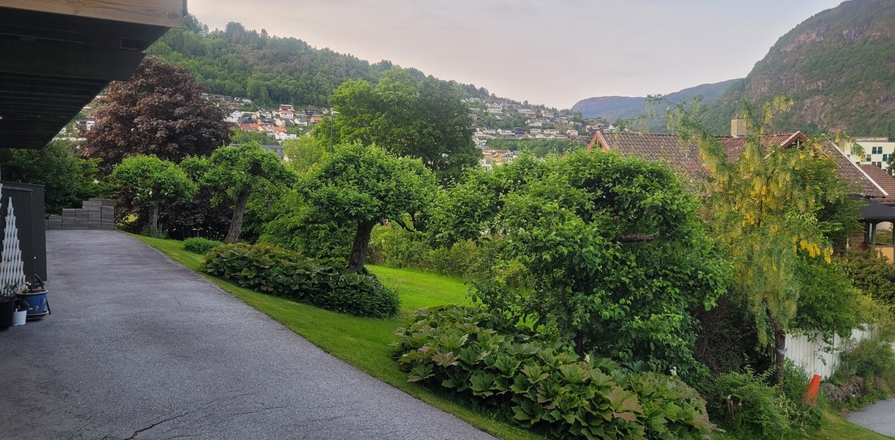 Uteområde