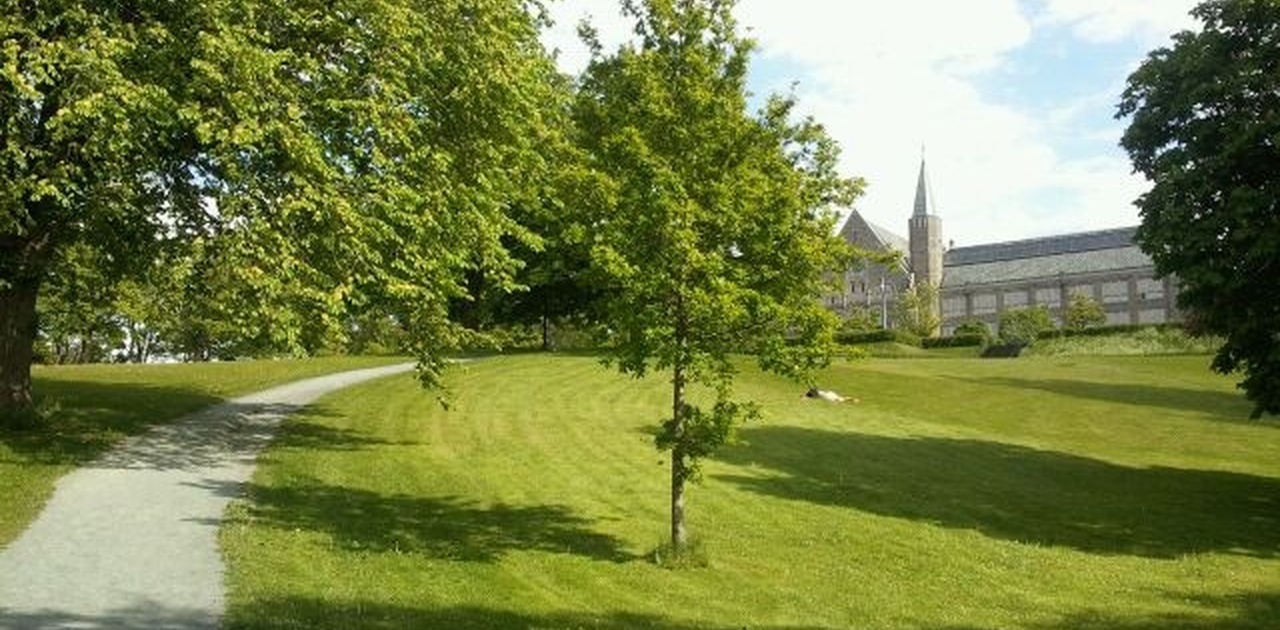 Vil du bo i dette området?