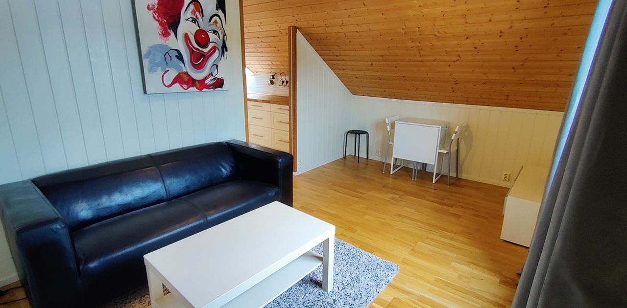 Stue/oppholdsrom