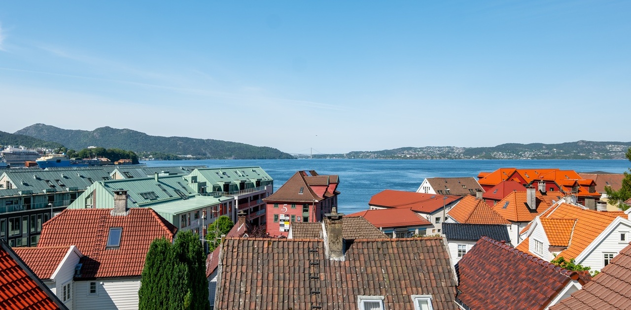 Utsikten fra stuen
