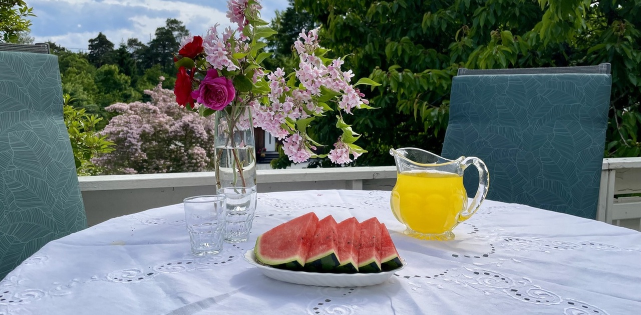 Stor og solfylt terrasse