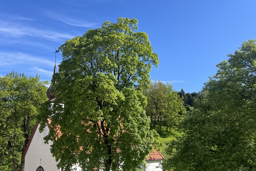 Rom i leilighet