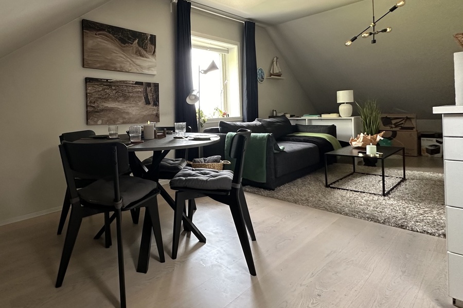 Leilighet, 1 roms