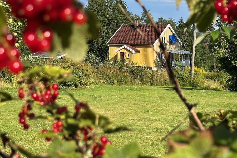 Hus, 5 roms