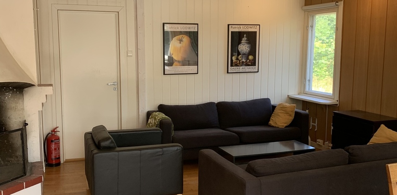 Felles sittegruppe i stue