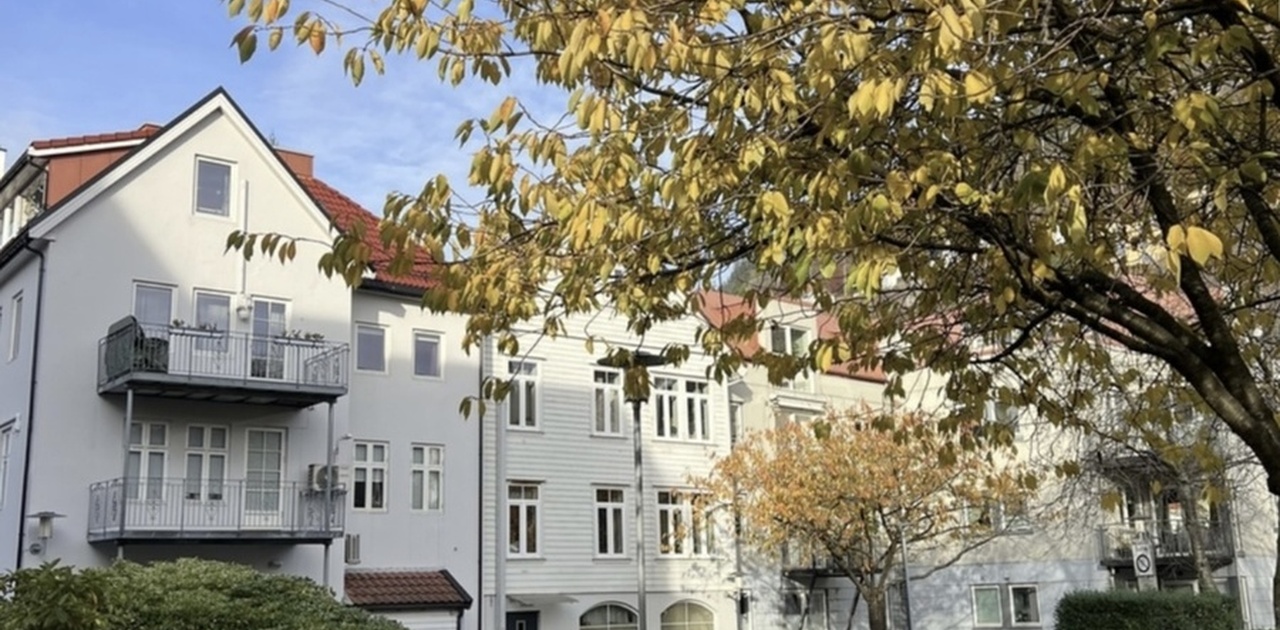 Bilde av den koselige bakgården vi har