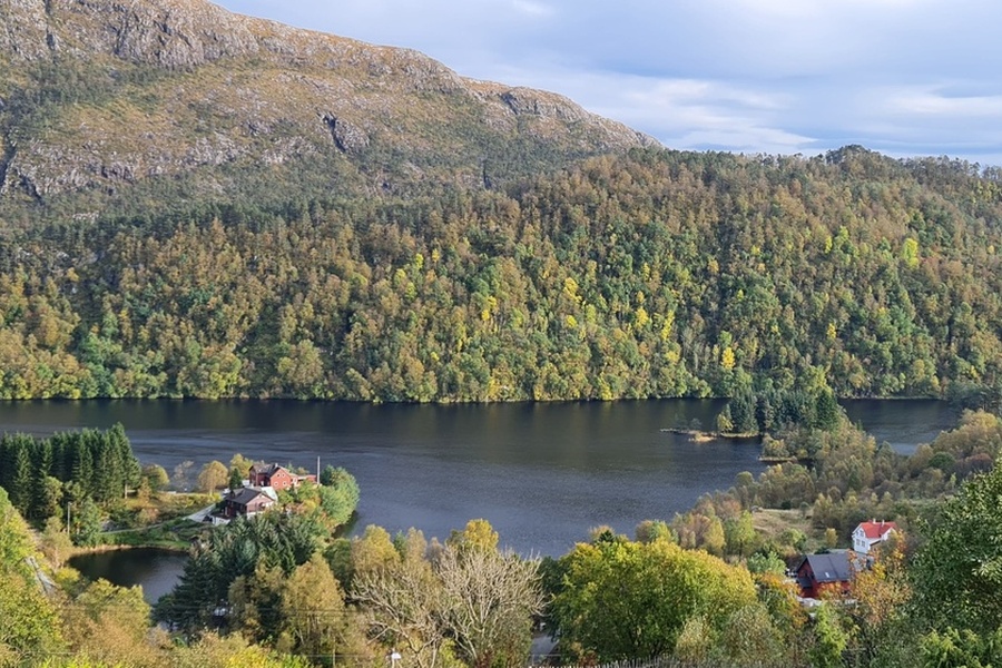 Leilighet, 3 roms