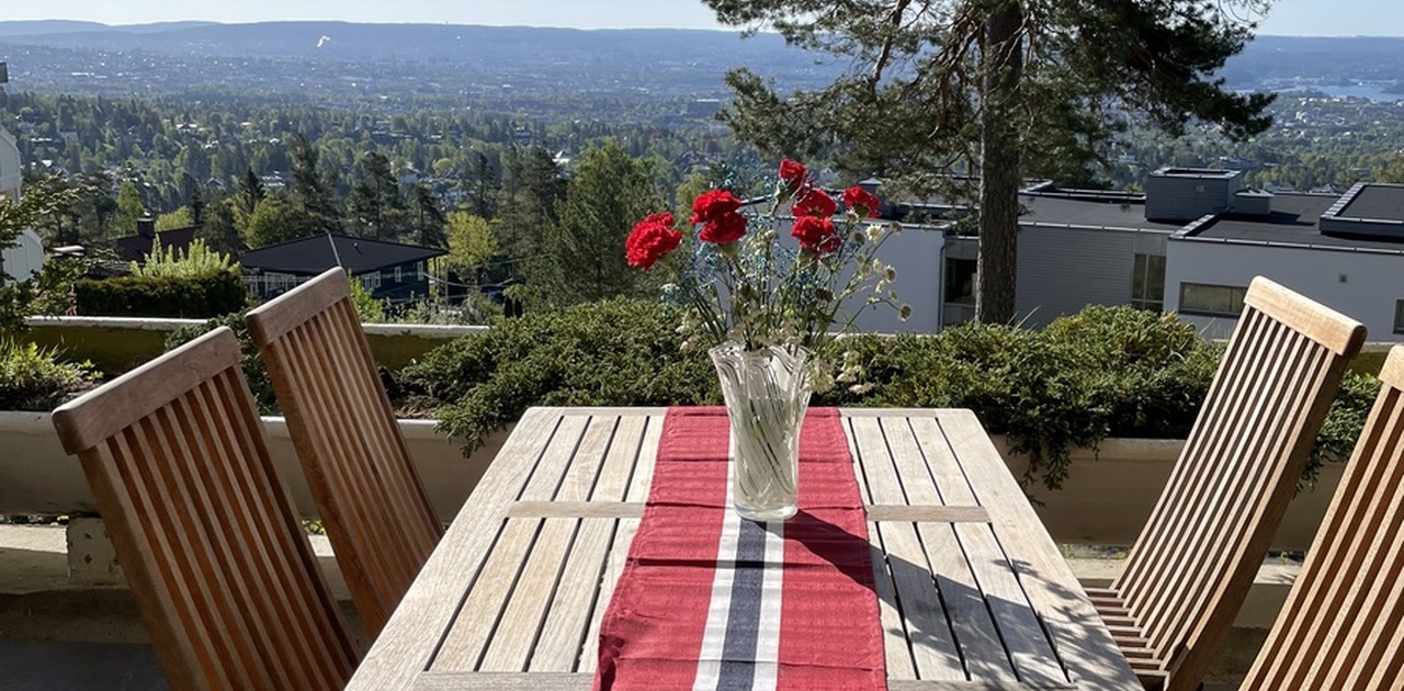 Utsikt fra 16 kvm terrasse med skiferheller og 2 boder på til sammen 6 kvm