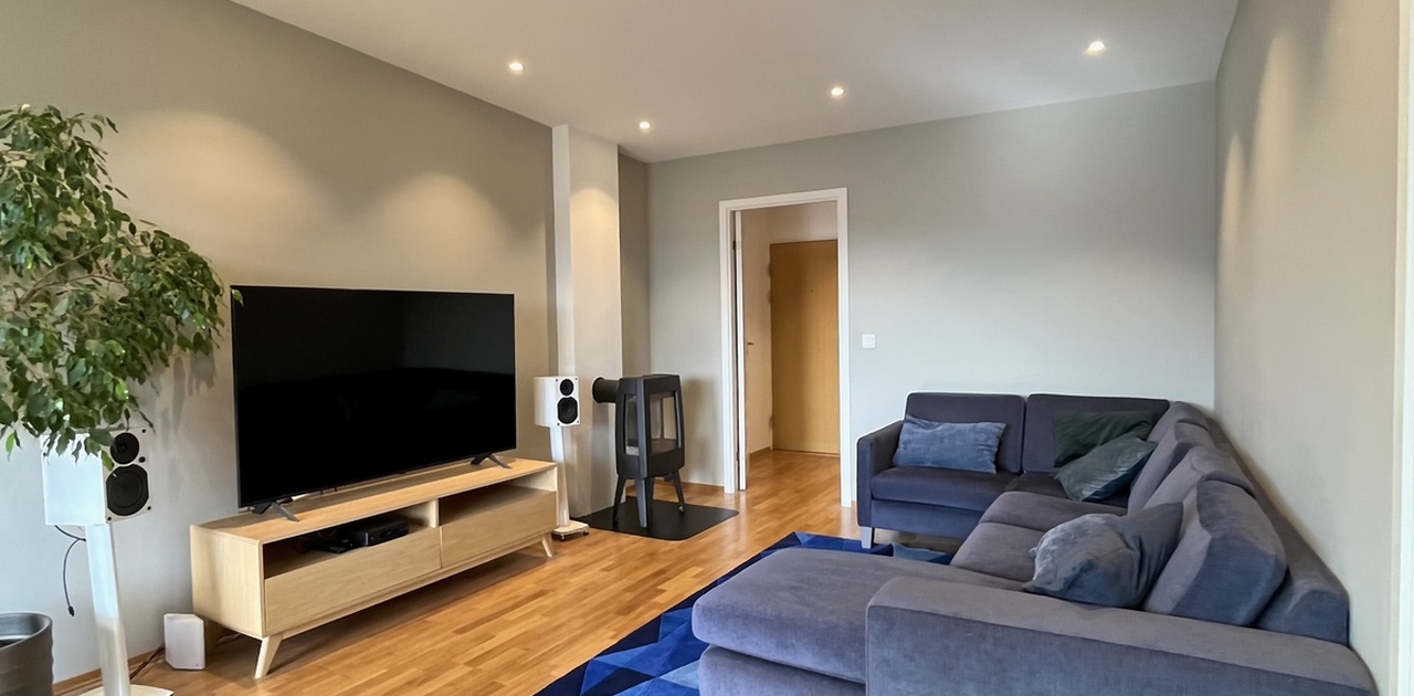 Stue med spisegruppe, sofakrok, 65" TV og stereoanlegg