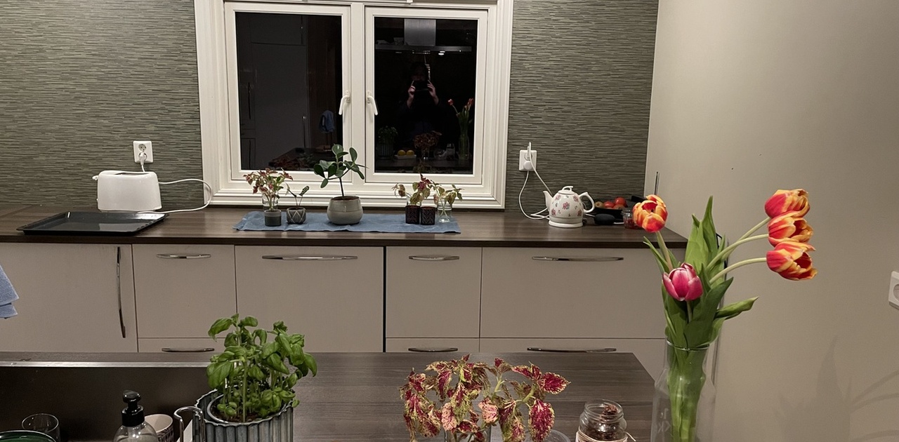 Deler av kjøkkenet