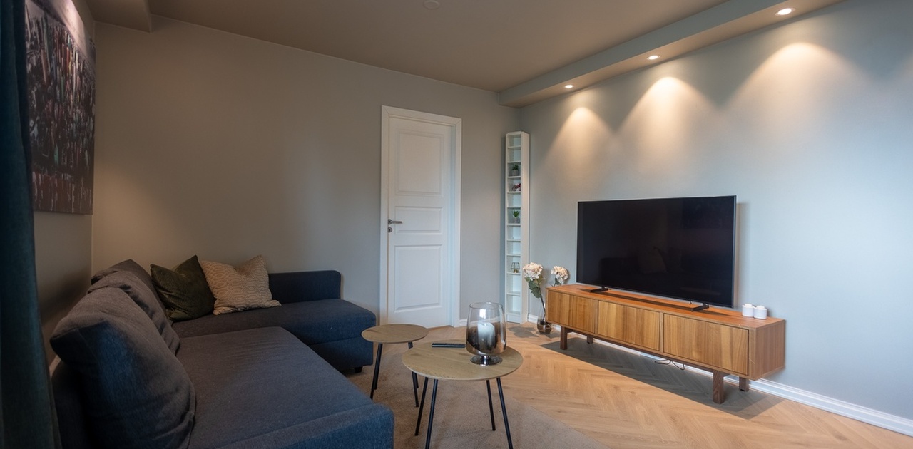 Stue med sovesofa og TV
