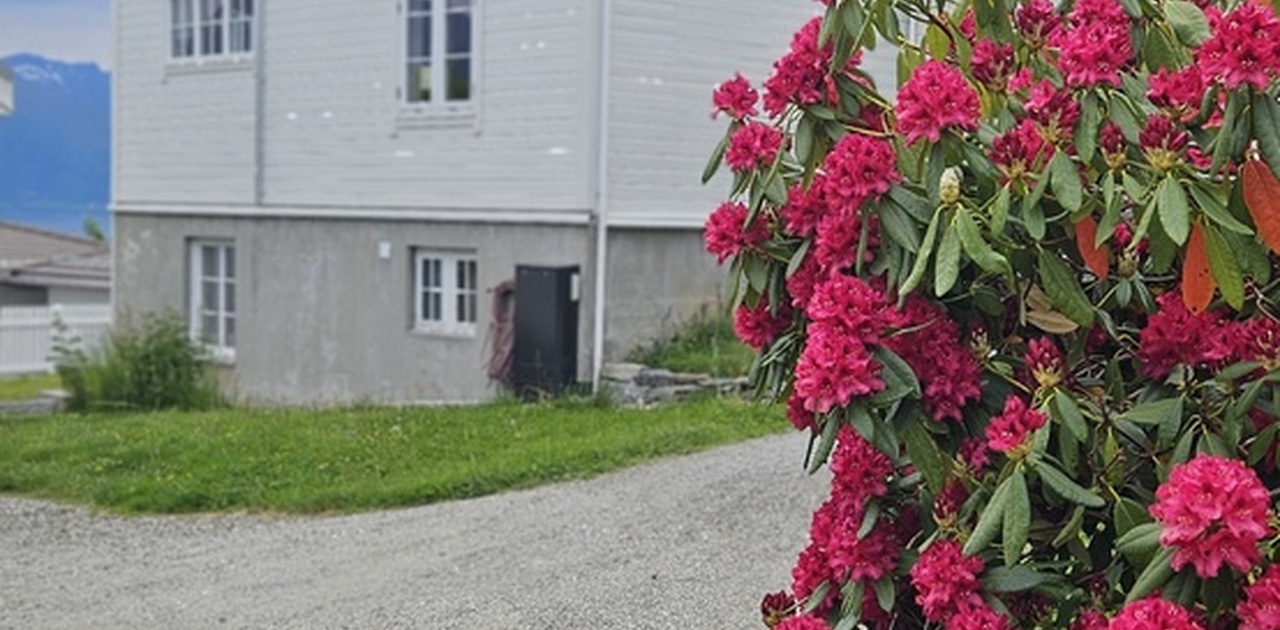 Sokkelleilighet i eldre hus på Hauane