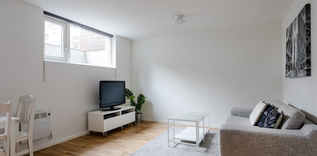 Hyggelig stuekrok medfølgende sofa, bord, teppe og tvbord