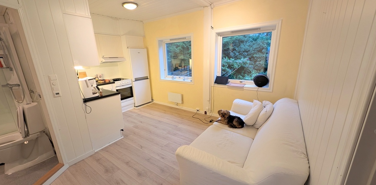 Stue og kjøkken 2 etasje