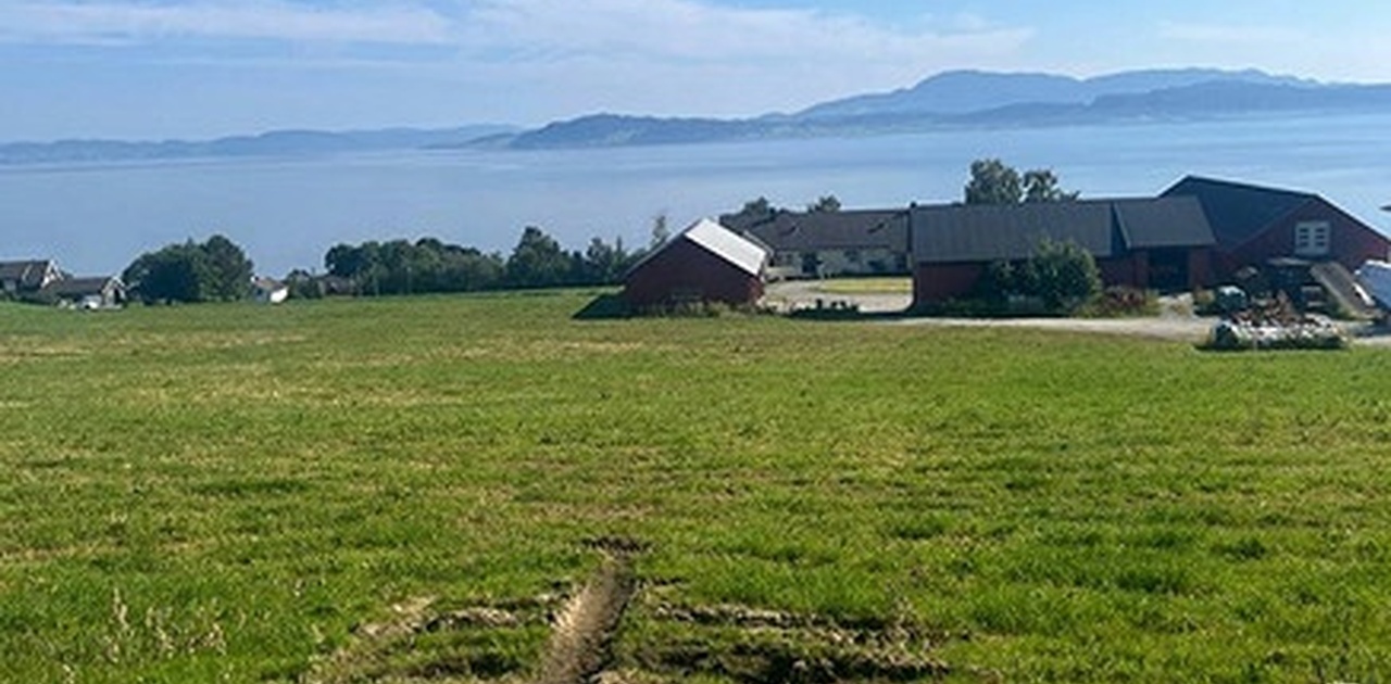 Utsikt