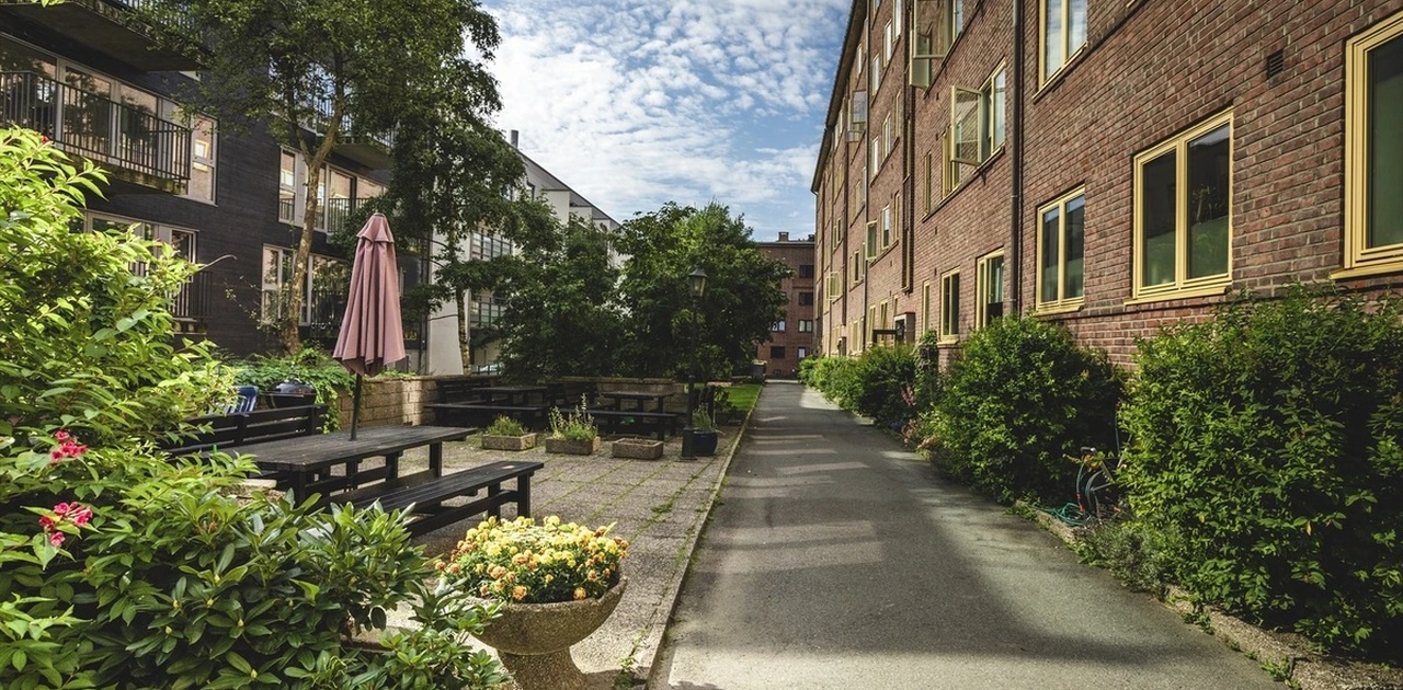 Bakgård