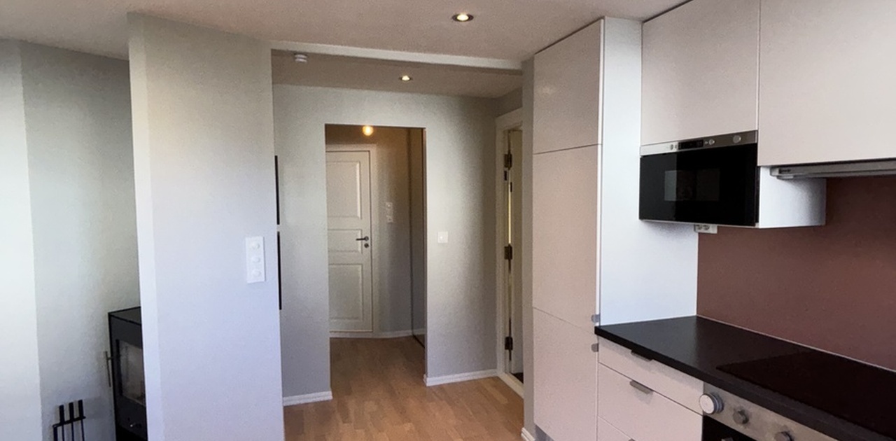 Gyldenpris - Sentral og moderne 2-romsleilighet med privat garasjeplass, hage og peis
