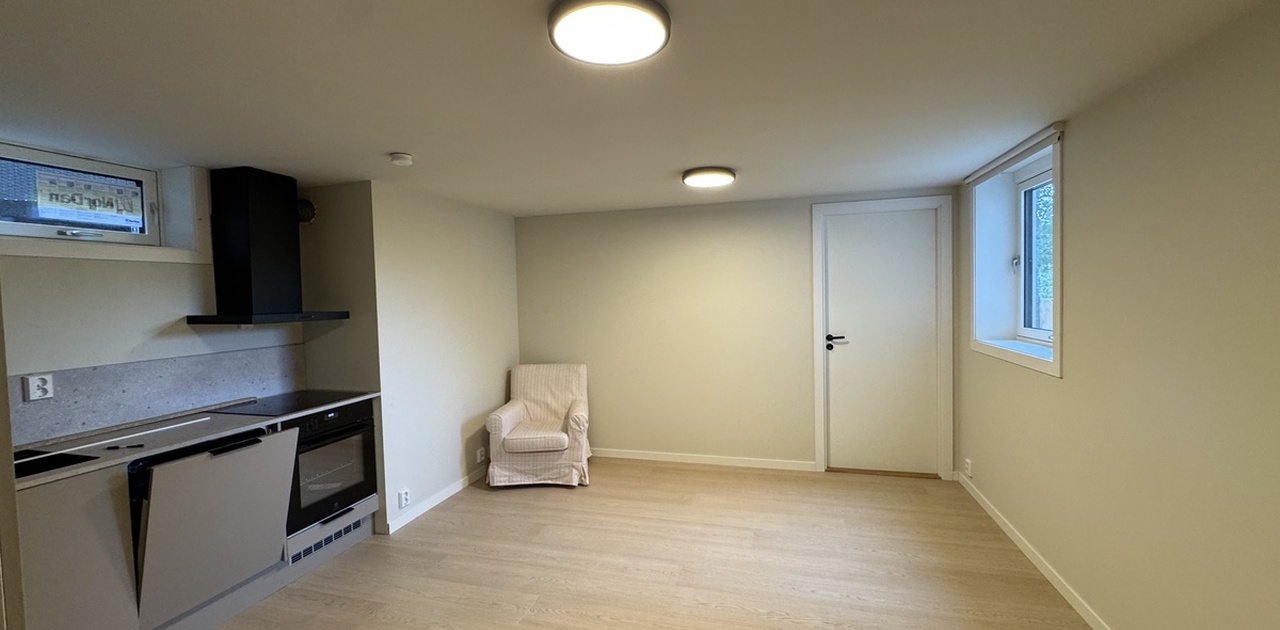 Stue /kjøkken på 21 kvadrat