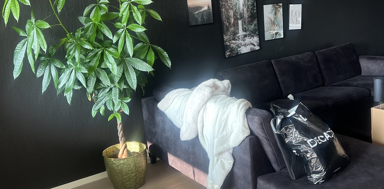 Stue m/sofa