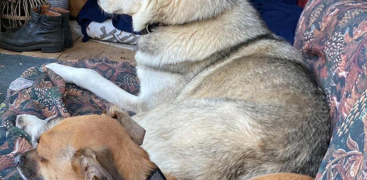 Lizy and Curro