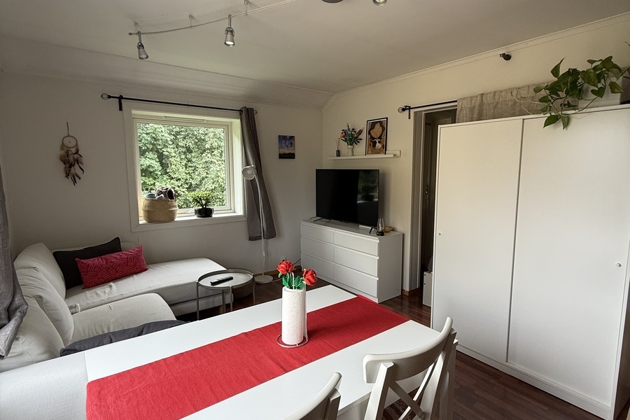 Leilighet, 1 roms