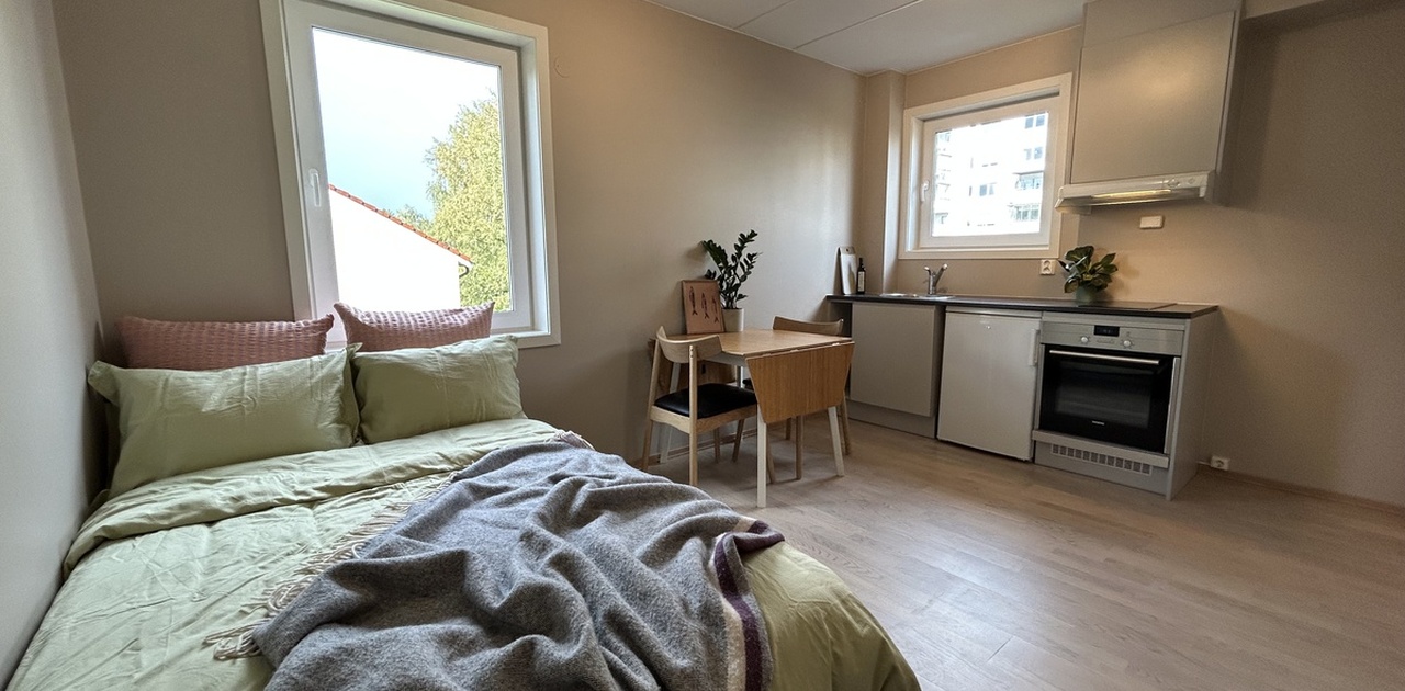 Lys og moderne hybel