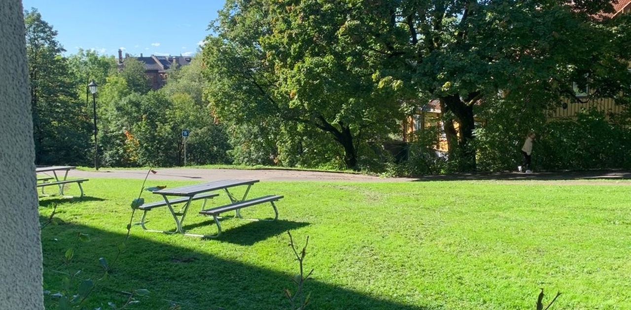 Utsikt fra stuevindu