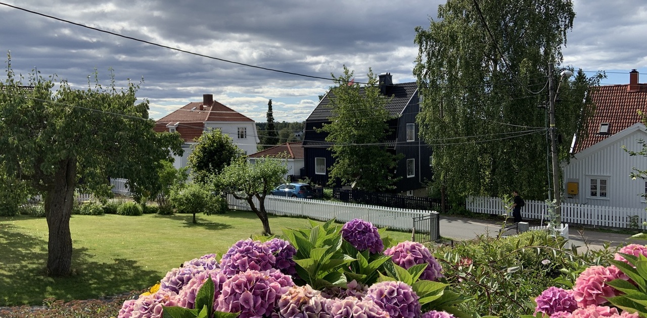 Det er det blå huset.
