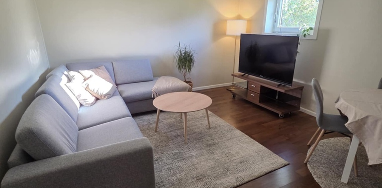 Stue møblert med sofa og tv.