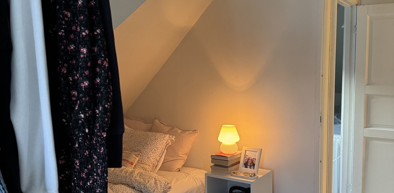 Koselig med skråtak og god plass til 140 seng