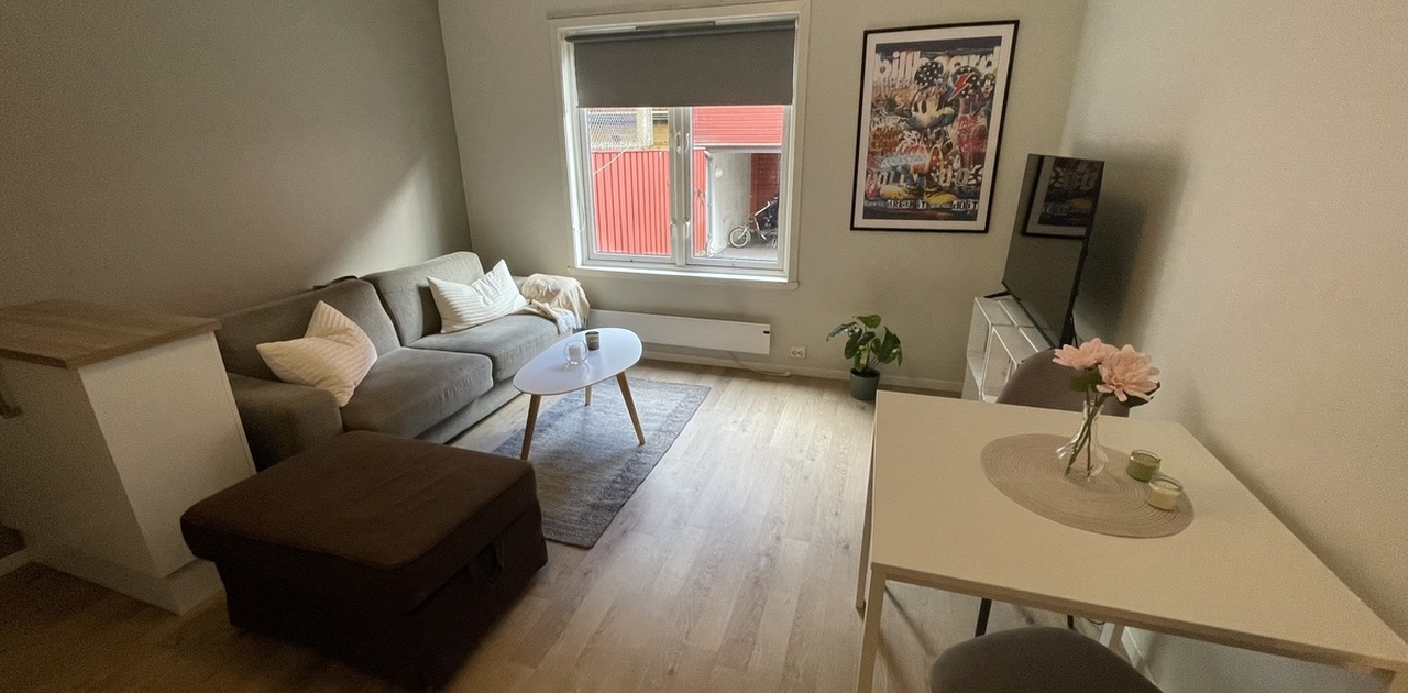 Stue med sovesofa og spiseplass