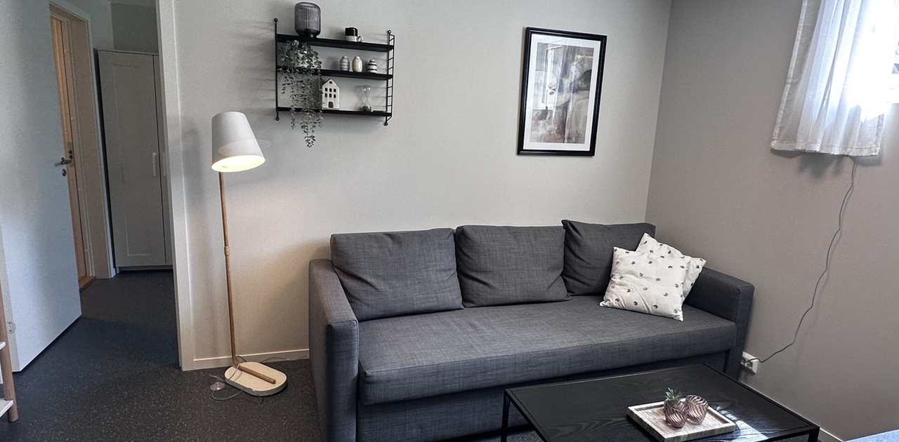 Sofa/sovesofa