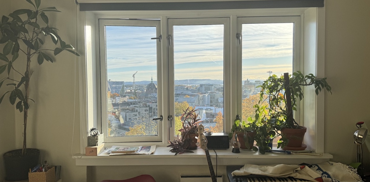 At the moment the room is used as a studio so I am not uploading extra pictures of it. But here you can see the view.
