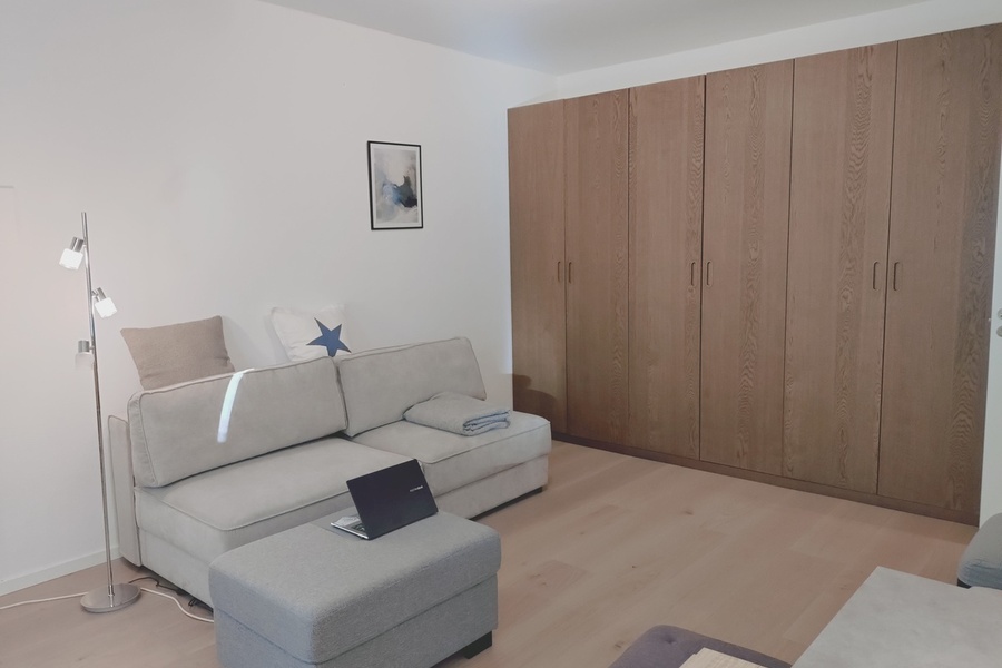 Leilighet, 1 roms