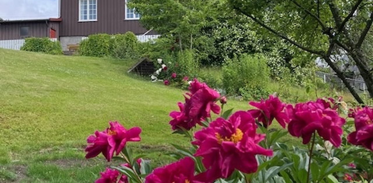 Villaen sett utenfra