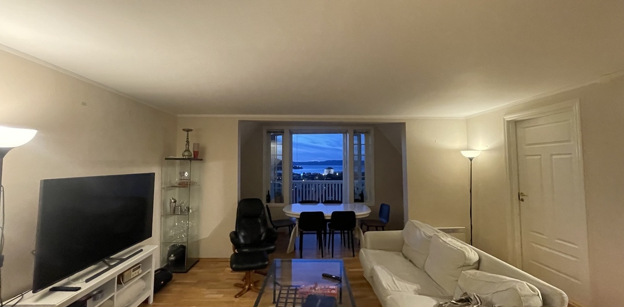 Stor og Hyggelig Stue