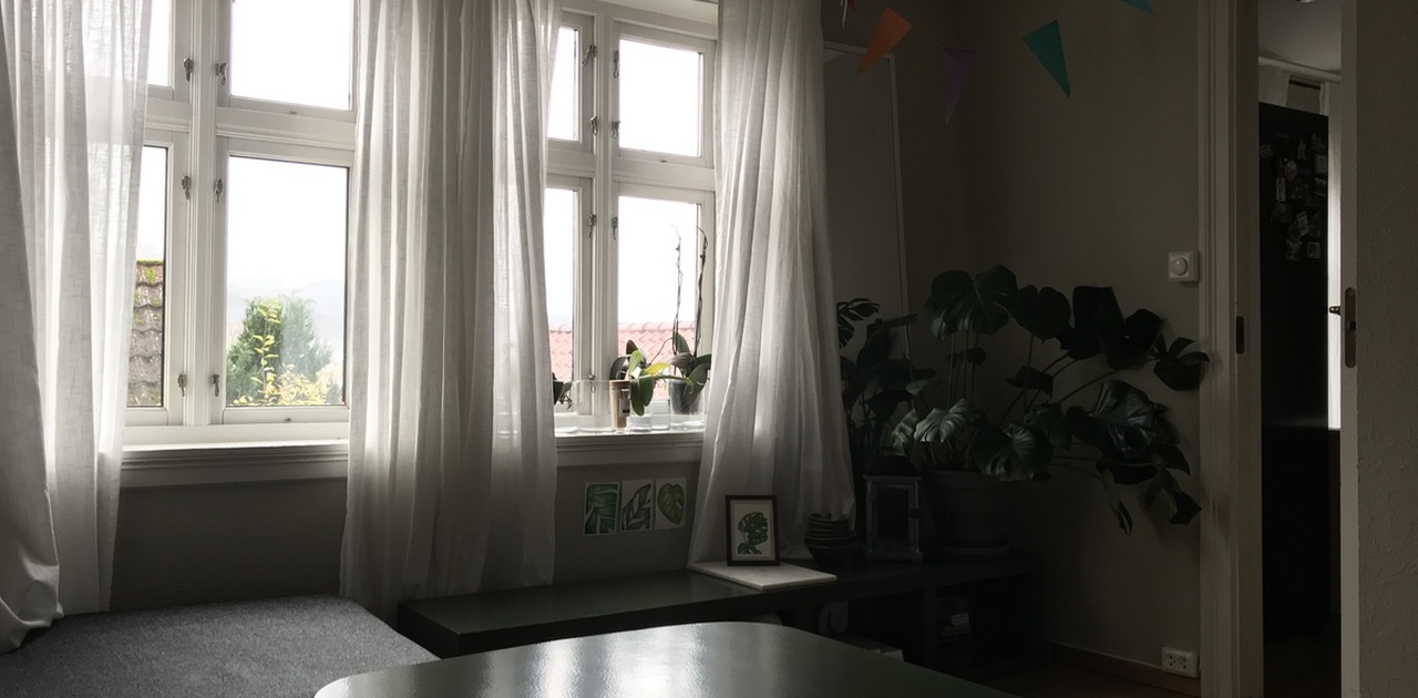 STUA — To sørvendte vinduer.