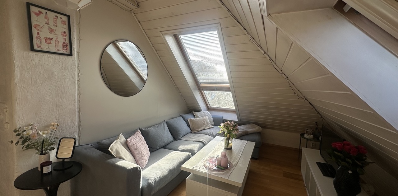 Felles stue, sofakrok og TV